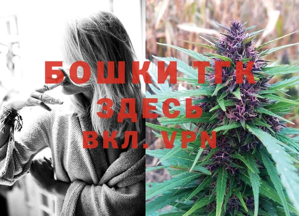 mdpv Кодинск