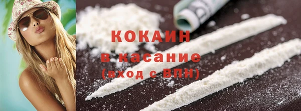 прущие грибы Медвежьегорск
