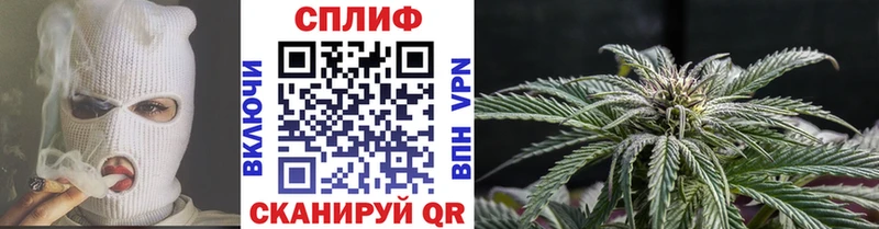 Марихуана White Widow где найти наркотики Суровикино